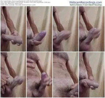 cam4-perfectdick21-06-29-2025-12-30-55