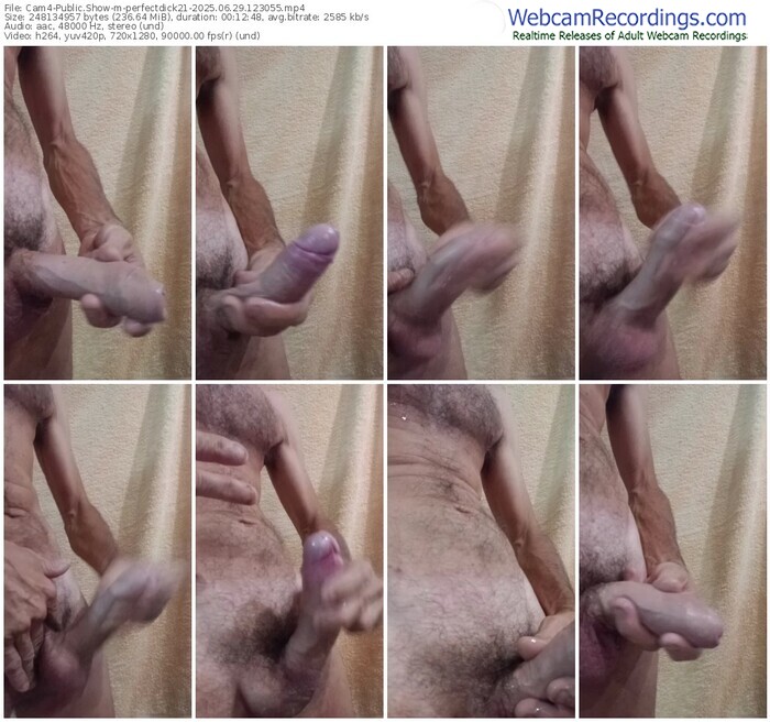 cam4-perfectdick21-06-29-2025-12-30-55