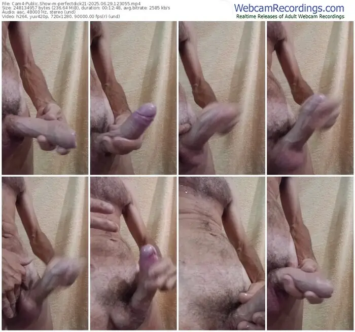 cam4-perfectdick21-06-29-2025-12-30-55