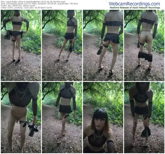 cam4-vanessabarbie-06-29-2025-19-04-43