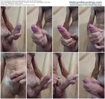 cam4-perfectdick21-06-30-2025-03-45-54