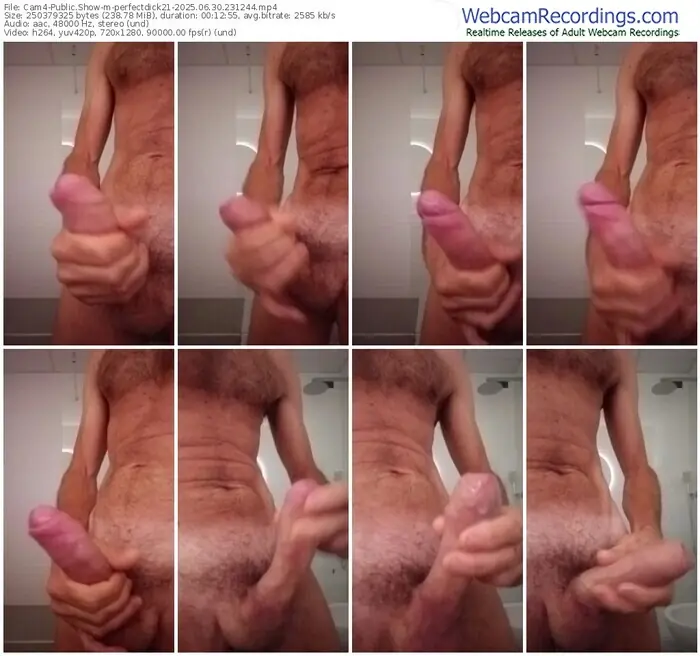 cam4-perfectdick21-06-30-2025-23-12-44