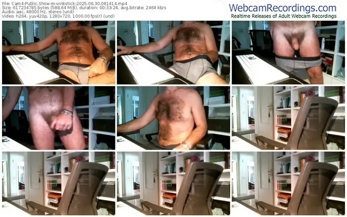 cam4-vinkstick-06-30-2025-08-14-14