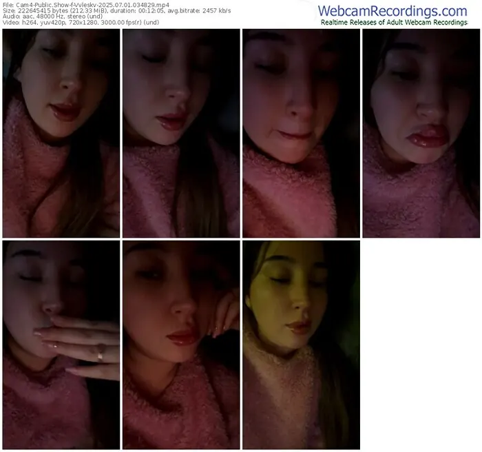 cam4-vvleskv-07-01-2025-03-48-29
