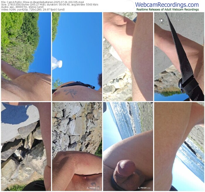 cam4-beardedveteran-07-01-2025-00-13-35