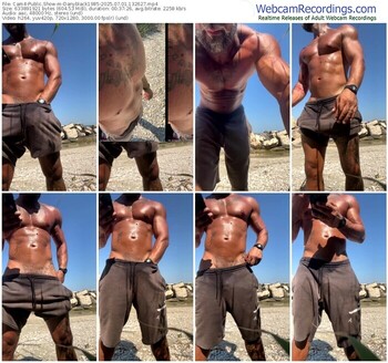 cam4-danyblack1985-07-01-2025-13-26-27