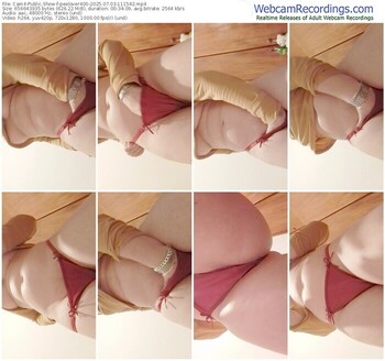cam4-peelover400-07-03-2025-11-15-42