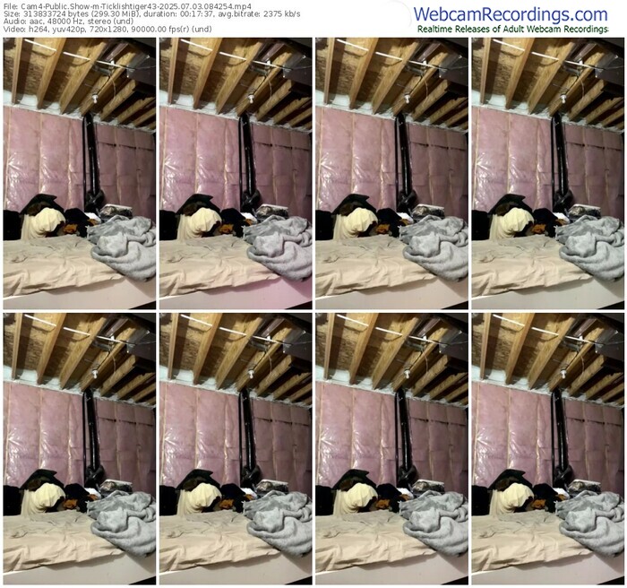 cam4-ticklishtiger43-07-03-2025-08-42-54