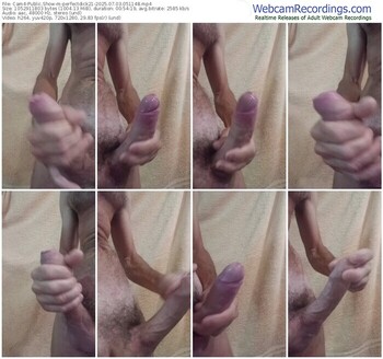 cam4-perfectdick21-07-03-2025-05-11-48