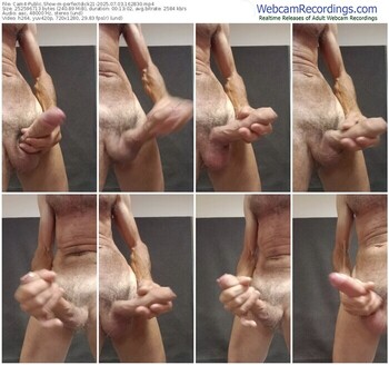 cam4-perfectdick21-07-03-2025-16-28-30