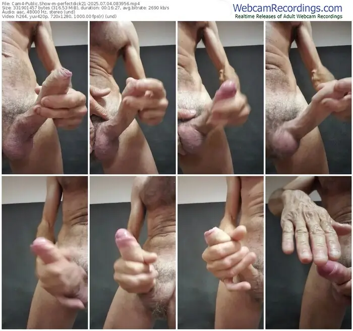 cam4-perfectdick21-07-04-2025-08-39-56