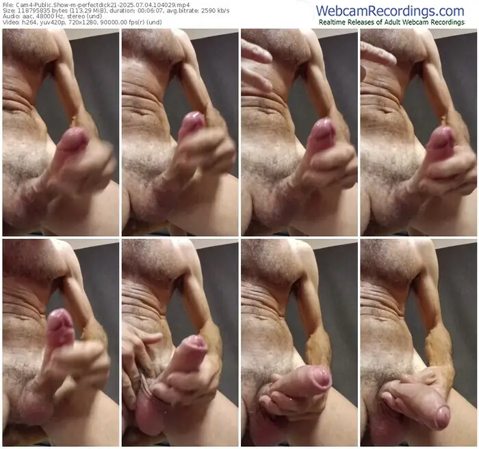 cam4-perfectdick21-07-04-2025-10-40-29