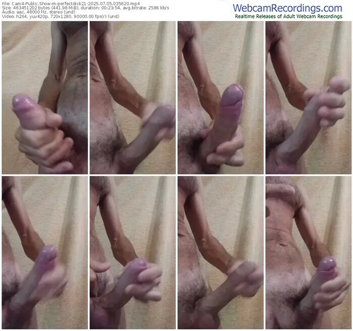 cam4-perfectdick21-07-05-2025-03-56-20