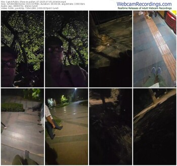 cam4-pollen_07-07-05-2025-20-34-34