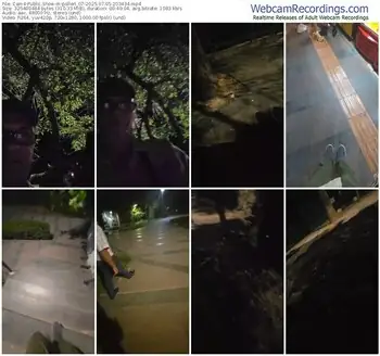 cam4-pollen_07-07-05-2025-20-34-34