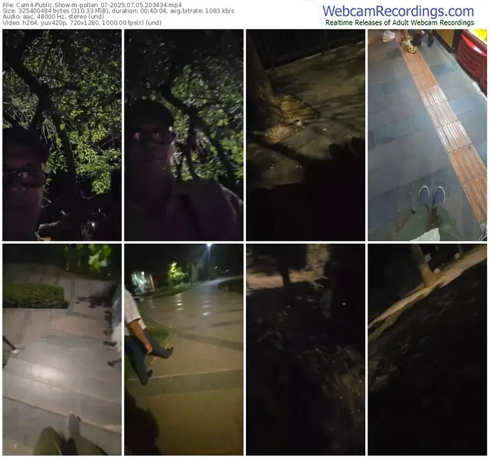 cam4-pollen_07-07-05-2025-20-34-34