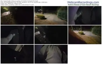 cam4-pollen_07-07-05-2025-21-17-41