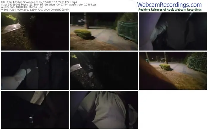 cam4-pollen_07-07-05-2025-21-17-41