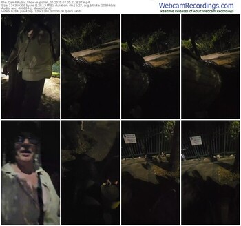cam4-pollen_07-07-05-2025-21-26-37