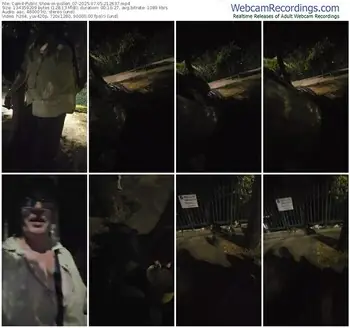 cam4-pollen_07-07-05-2025-21-26-37