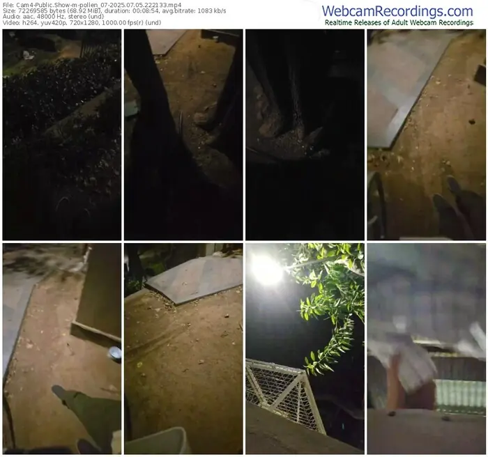 cam4-pollen_07-07-05-2025-22-21-33