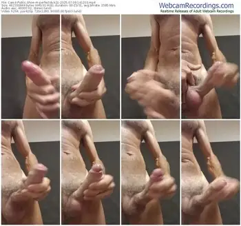 cam4-perfectdick21-07-09-2025-14-12-03