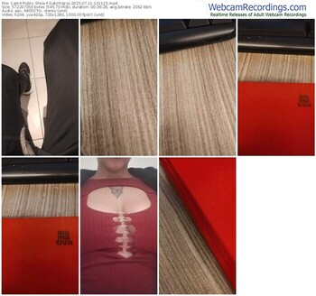 cam4-gatinhazss-07-11-2025-13-11-15