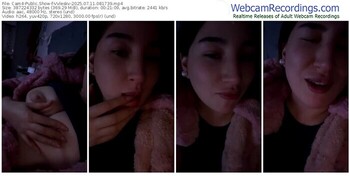 cam4-vvleskv-07-11-2025-08-17-39