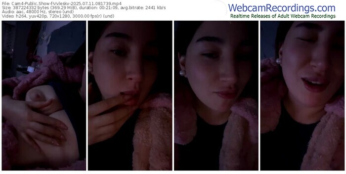 cam4-vvleskv-07-11-2025-08-17-39