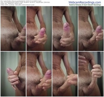 cam4-perfectdick21-07-11-2025-04-50-12