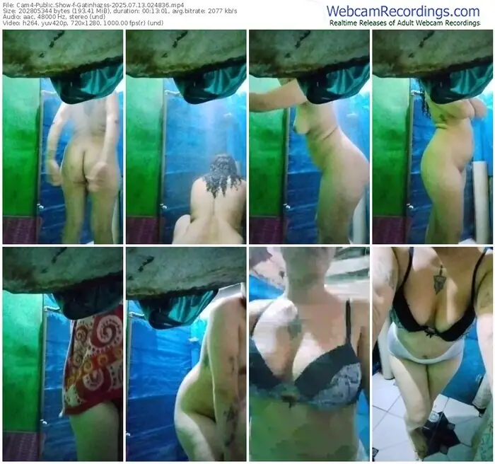 cam4-gatinhazss-07-13-2025-02-48-36
