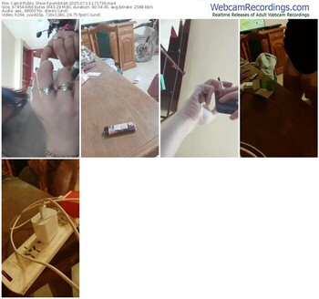 cam4-pombita4-07-13-2025-17-17-39