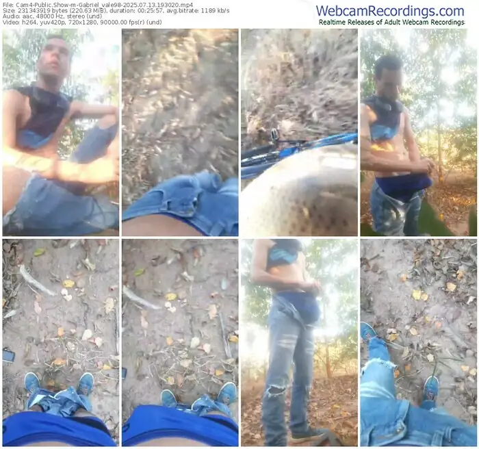 cam4-gabriel_vale98-07-13-2025-19-30-20