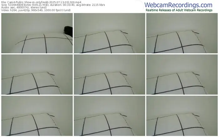 cam4-onlyfredd-07-13-2025-03-13-26