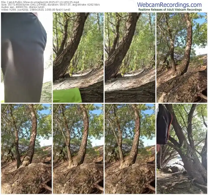 cam4-viraglaci18-07-13-2025-16-51-35