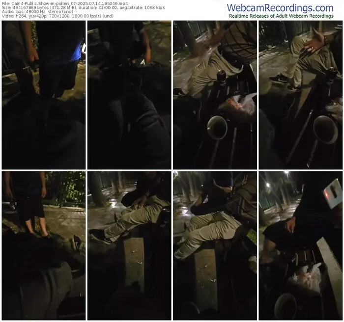 cam4-pollen_07-07-14-2025-19-50-49