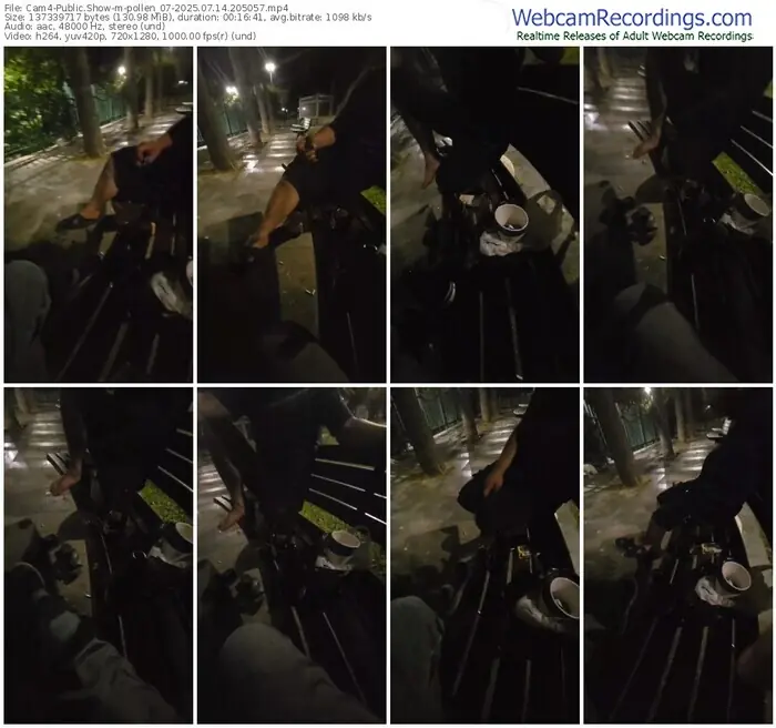 cam4-pollen_07-07-14-2025-20-50-57