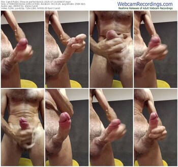 cam4-perfectdick21-07-16-2025-09-49-37