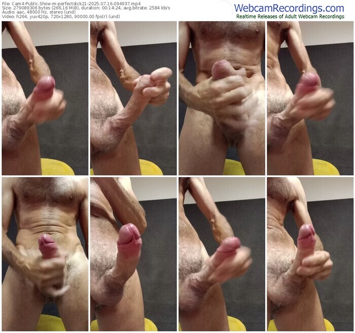 cam4-perfectdick21-07-16-2025-09-49-37