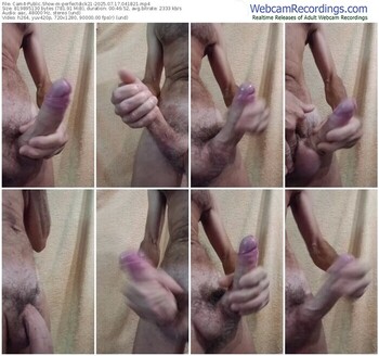 cam4-perfectdick21-07-17-2025-04-18-21