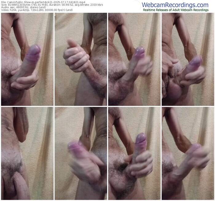 cam4-perfectdick21-07-17-2025-04-18-21