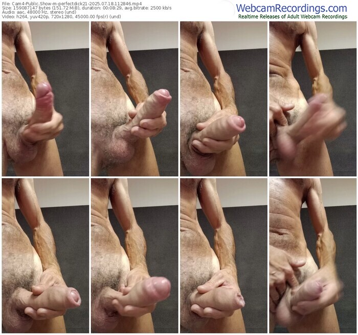 cam4-perfectdick21-07-18-2025-11-28-46