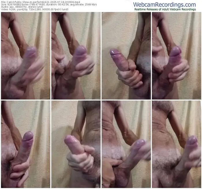 cam4-perfectdick21-07-18-2025-20-33-06