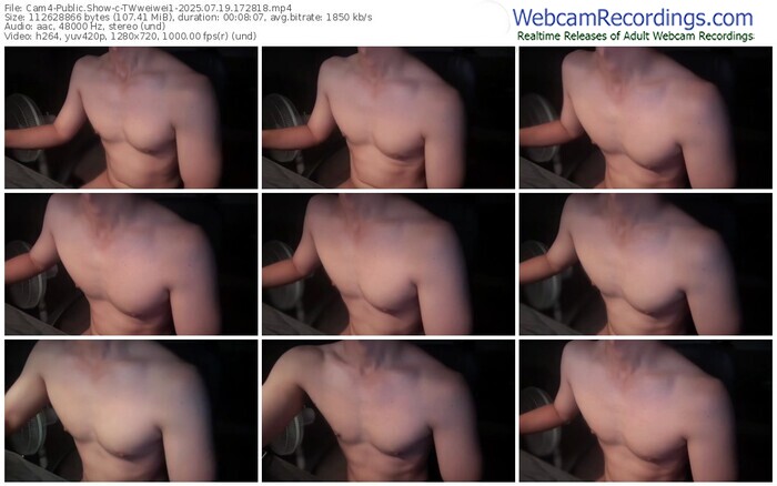 cam4-twweiwei1-07-19-2025-17-28-18