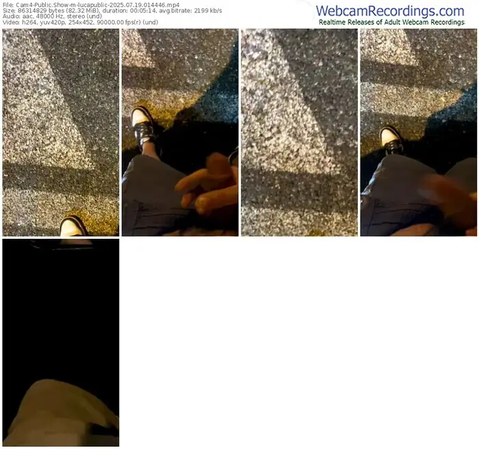 cam4-lucapublic-07-19-2025-01-44-46