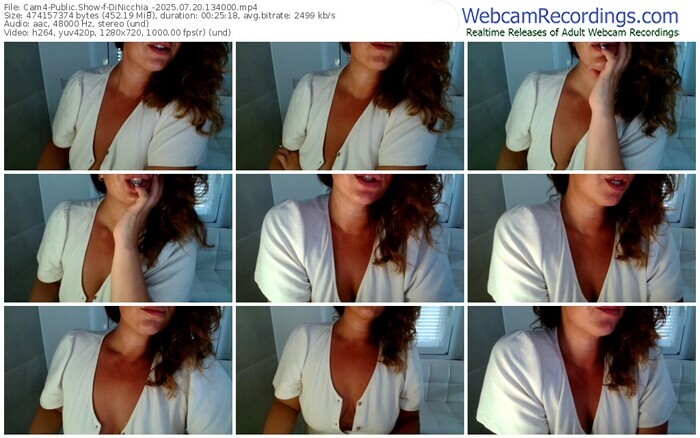 cam4-dinicchia_-07-20-2025-13-40-00