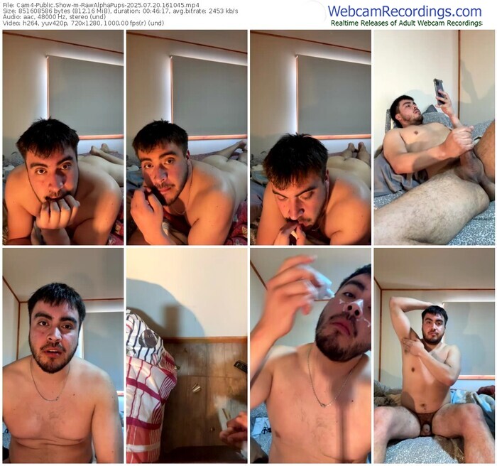 cam4-rawalphapups-07-20-2025-16-10-45