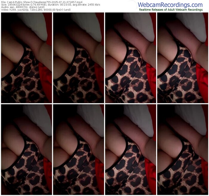cam4-chaudasse755-07-21-2025-07-24-57