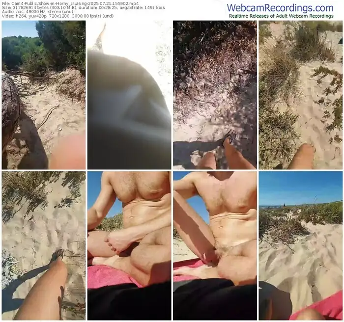 cam4-horny_cruising-07-21-2025-15-59-02
