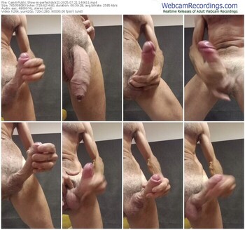 cam4-perfectdick21-07-21-2025-14-06-11